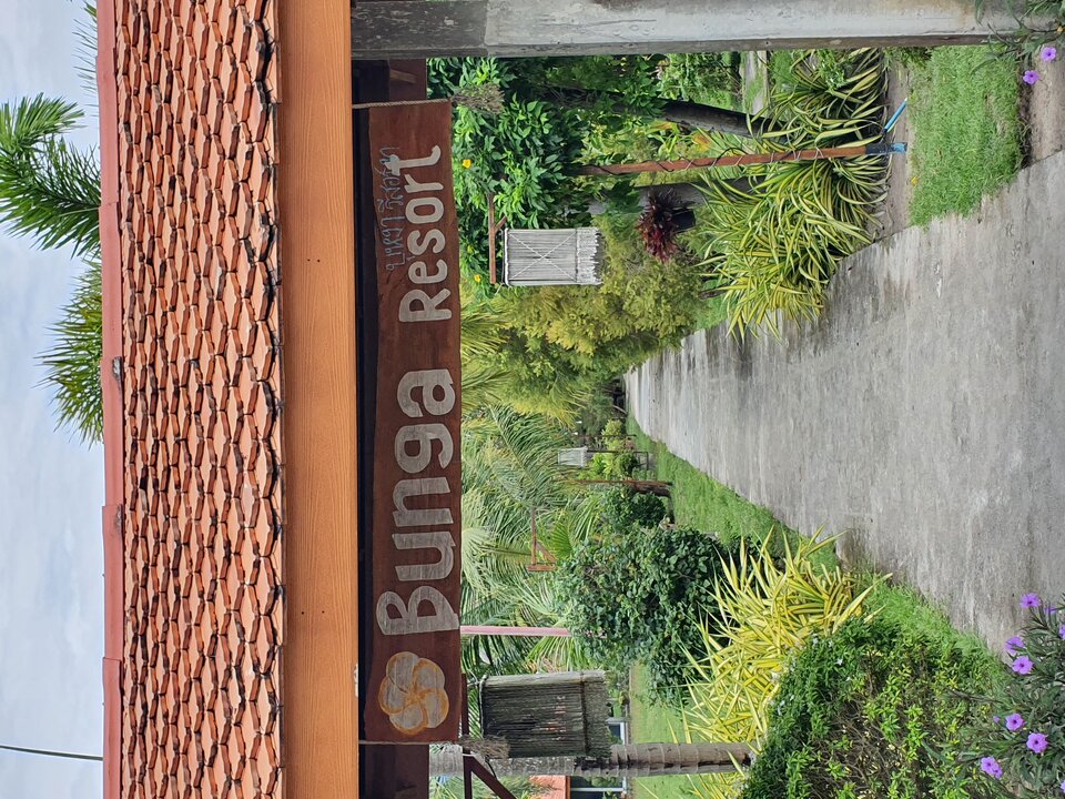 20221110_111250.jpg - Mikel1968