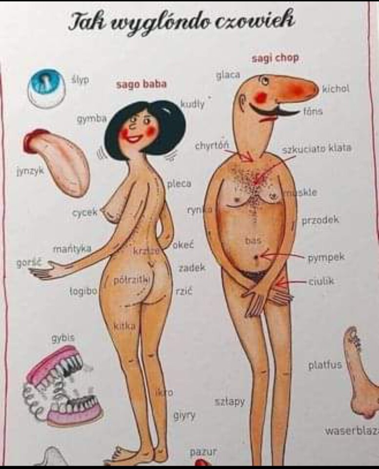 Screenshot_2022-11-10-19-01-00-875-edit_com.facebook.katana.jpg - Napaleni75