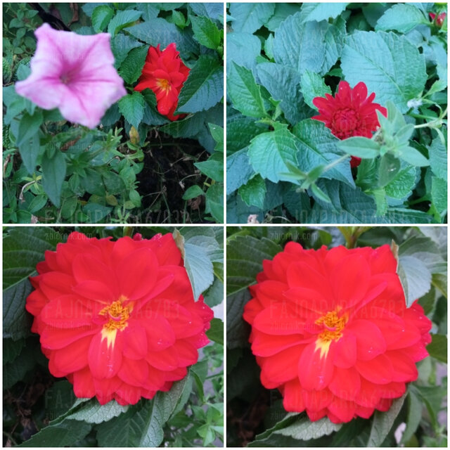 20221111000001.jpg - FajnaParka6783