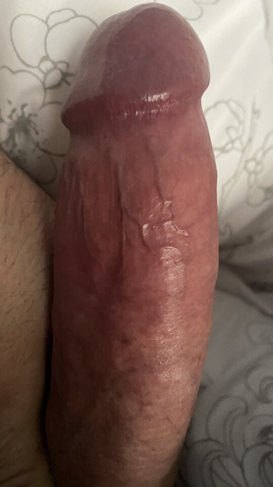 EE0CD0CF-8803-4A74-A39D-121D41BB9A7E.jpeg - bondjames728