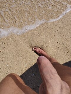 IMG_20221103_104145.jpg