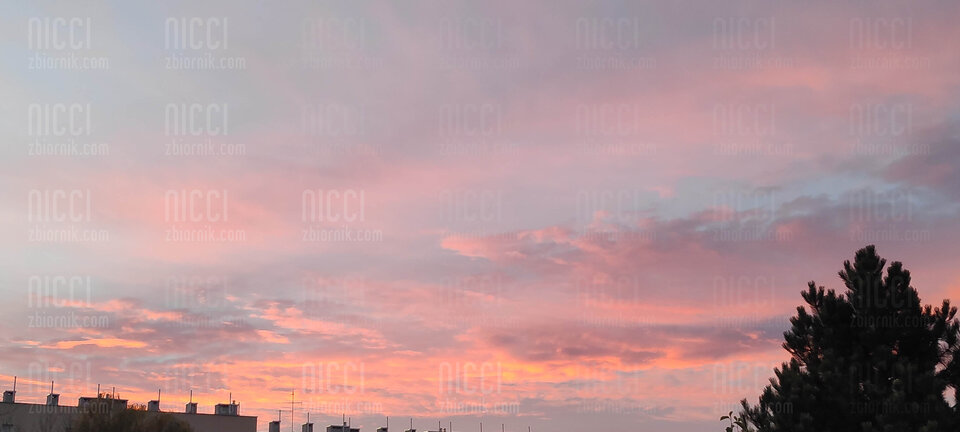 IMG_20221111_161511.jpg - Nicci