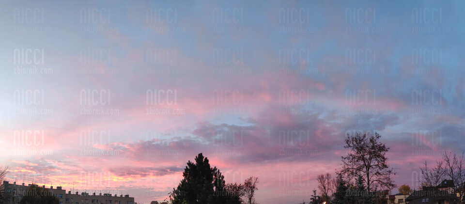 IMG_20221111_161551.jpg - Nicci