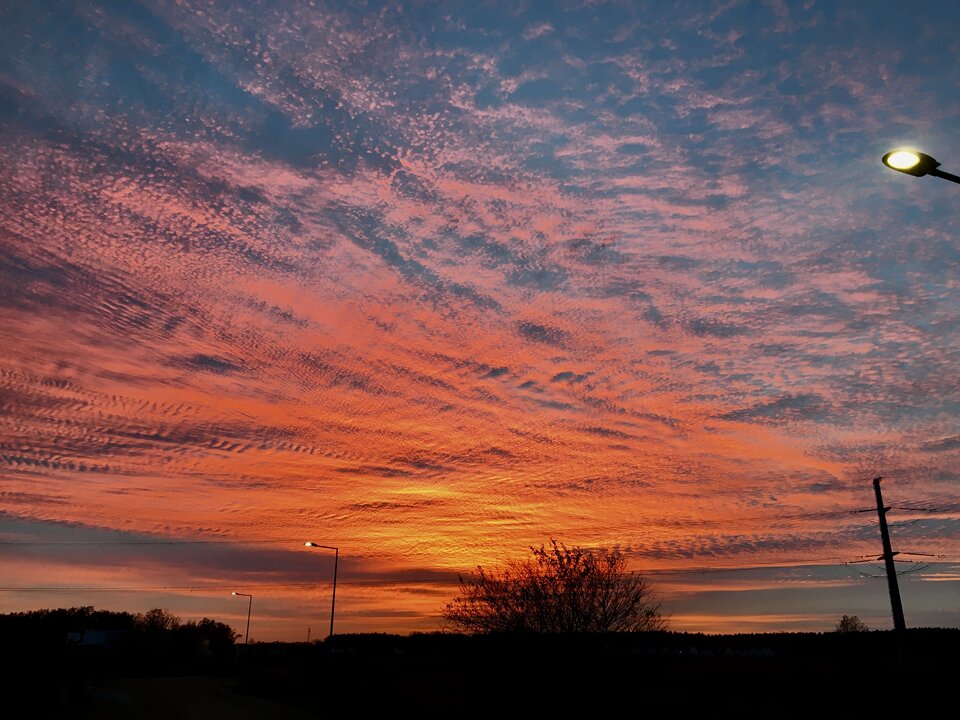 CBD7E3CF-E3E6-42CF-9F5F-20B896ABC1B5.jpeg - SirWolf