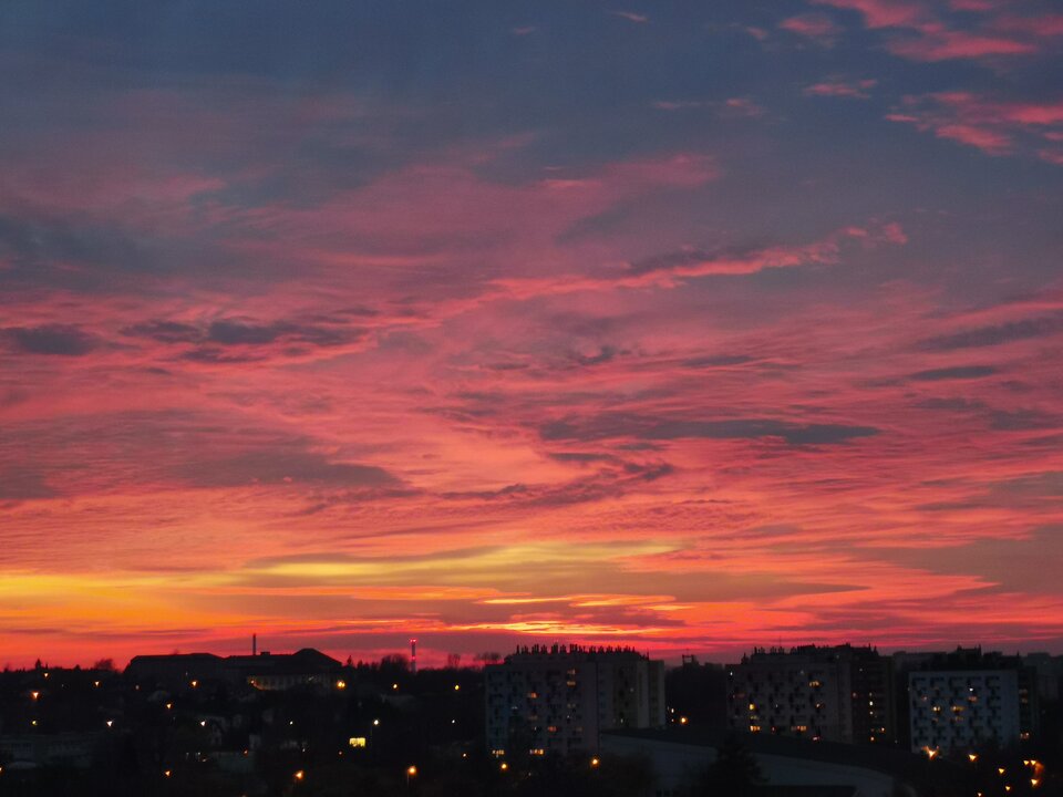 IMG_20221111_162649.jpg - Inspektorrr