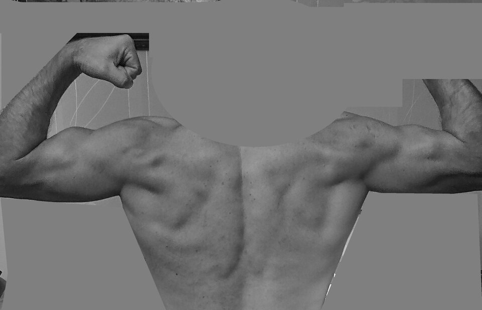 _20221111_163315.JPG - uzytkownik1987