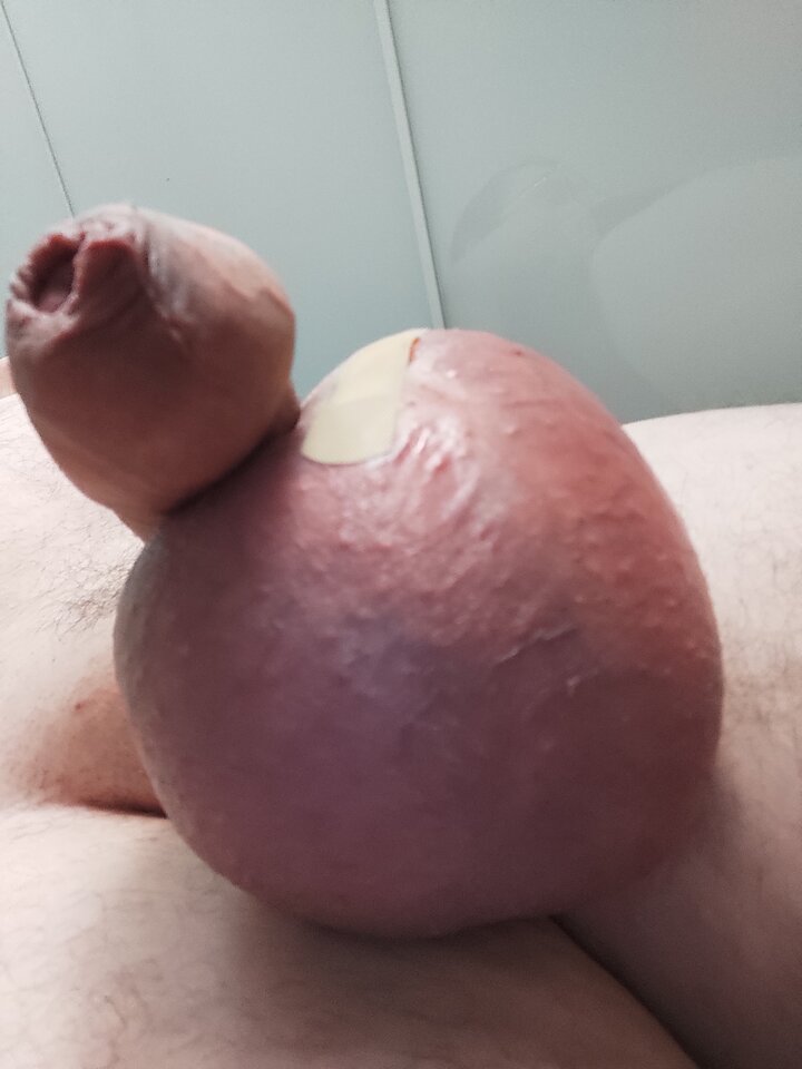 IMG_20221111_182053.jpg - RATCVAC