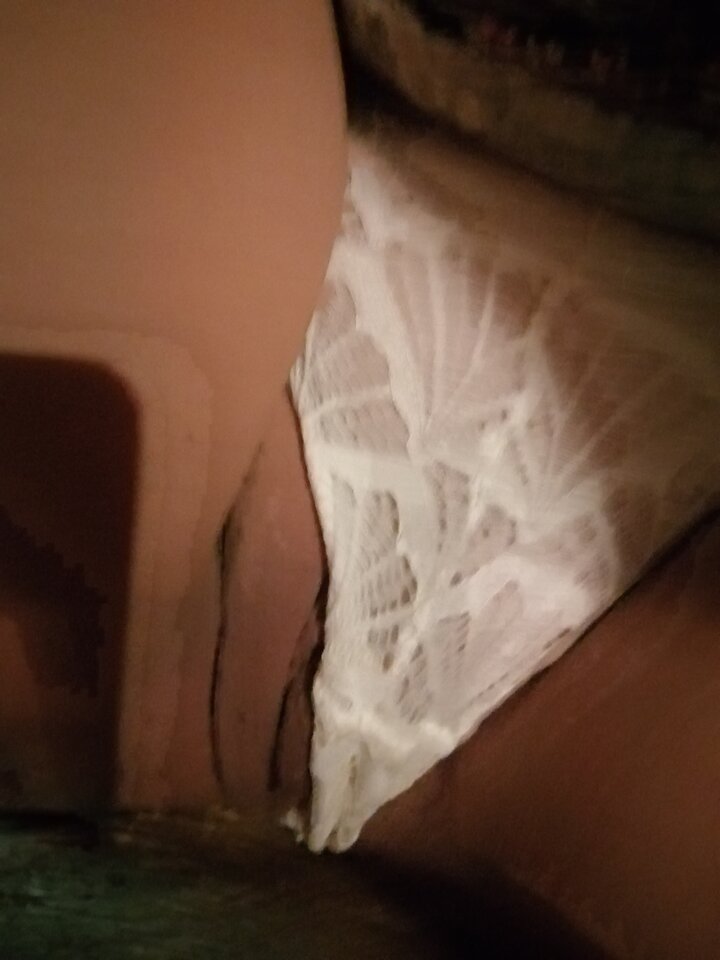 IMG_20221111_195422.jpg - Satiwa