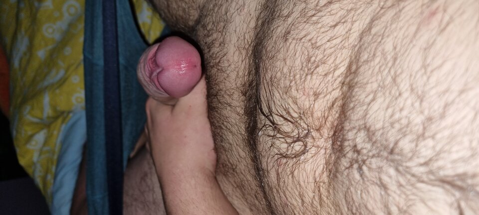 16682186842406598365931818051997.jpg - WyssamCie69