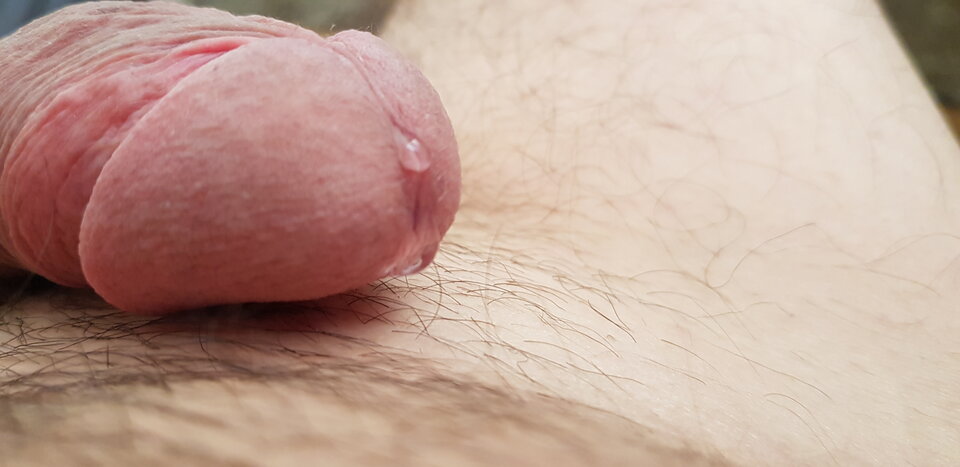 20221108_073753.jpg - arek00x