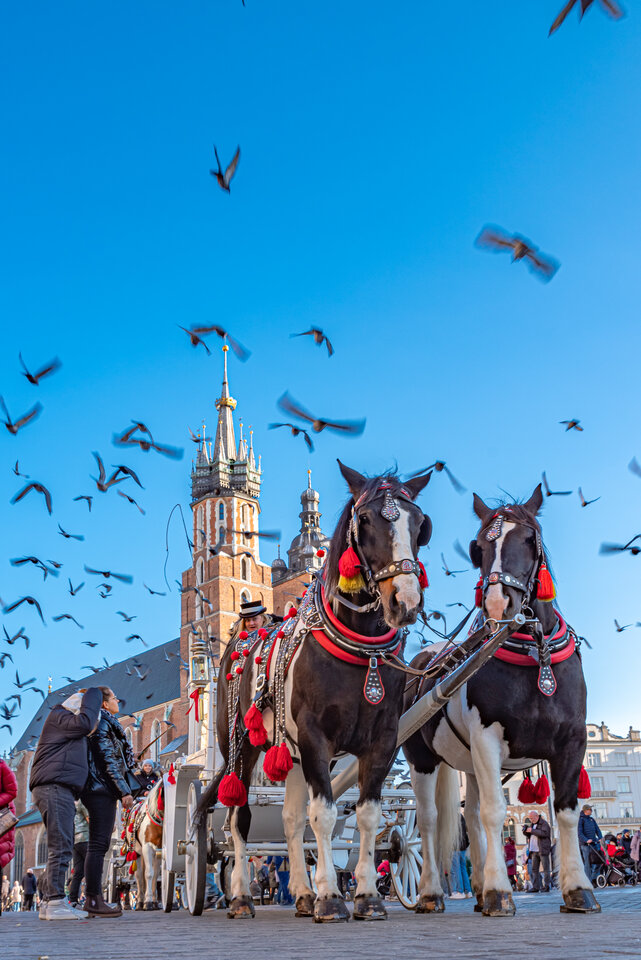 Dzisiaj na Rynku - mystic