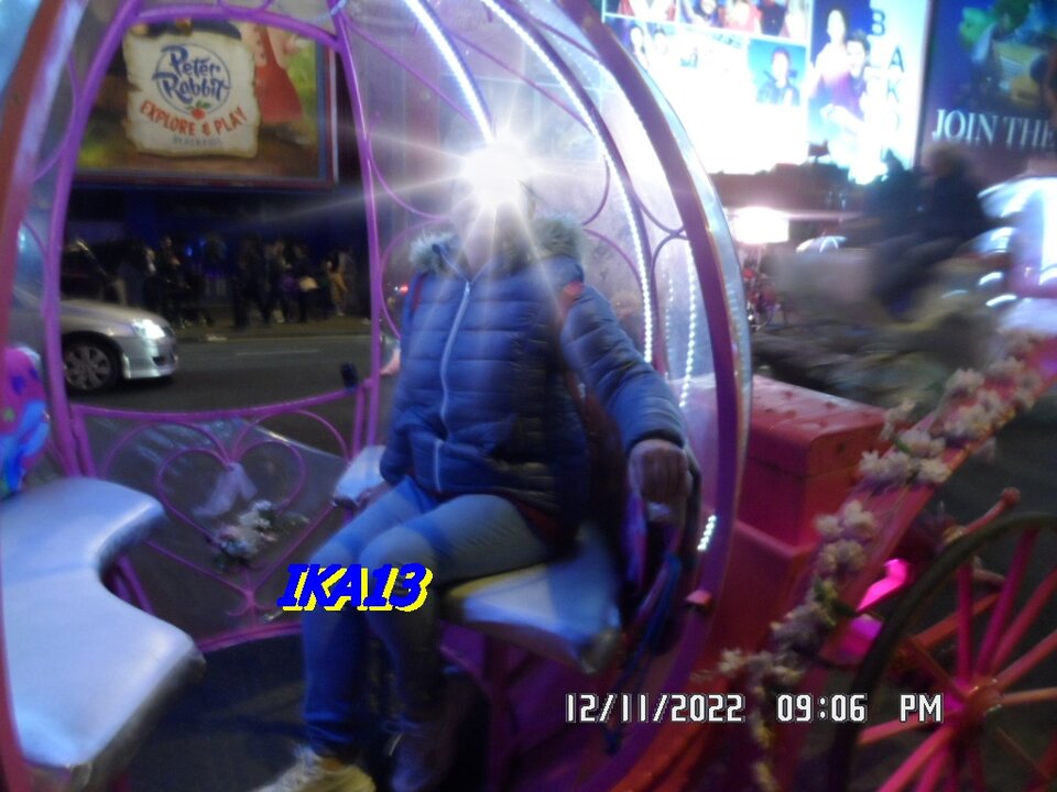 SAM_4327.JPG - ika13