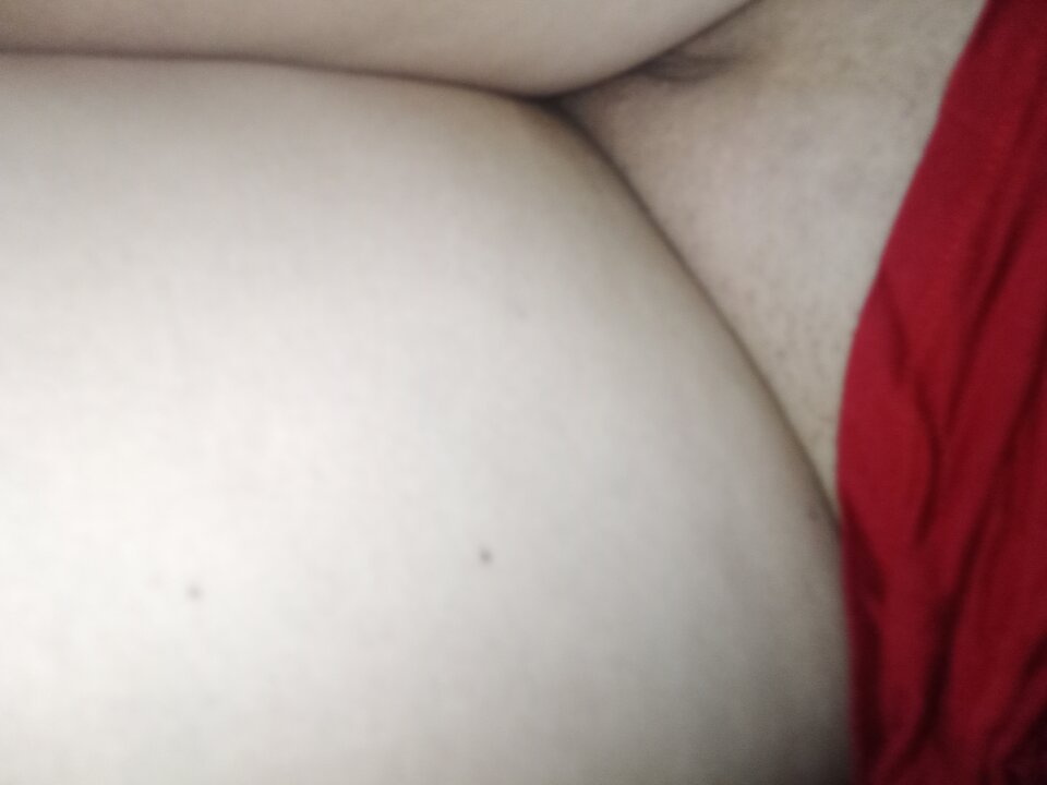 IMG_20221113_023154_838.jpg - Oniona3536