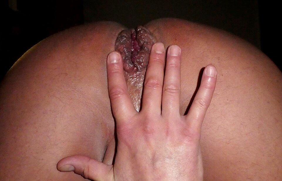 P1000660.JPG - analizator29