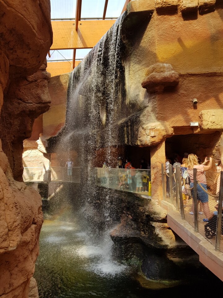 20200826_112139.jpg - harryraider