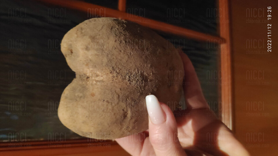 IMG_20221112_192622.jpg - Nicci