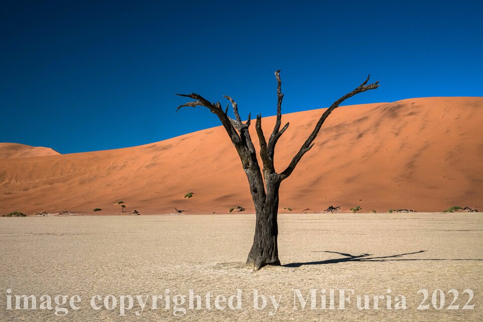 United Colors of Milfuria - milFuria