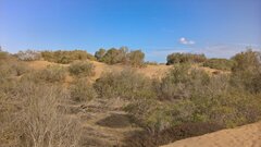 WP_20180430_17_52_22_Pro.jpg