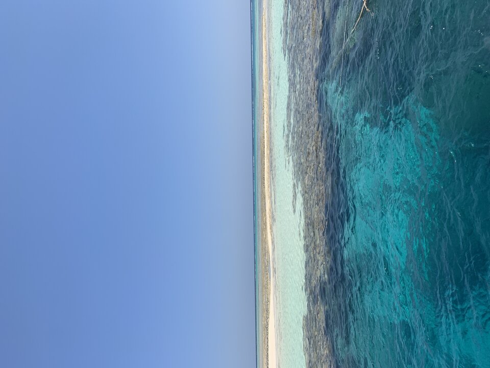 1BD628CF-9856-4C2B-ACAF-6C34F33FCA3C.jpeg - nieznajomy126