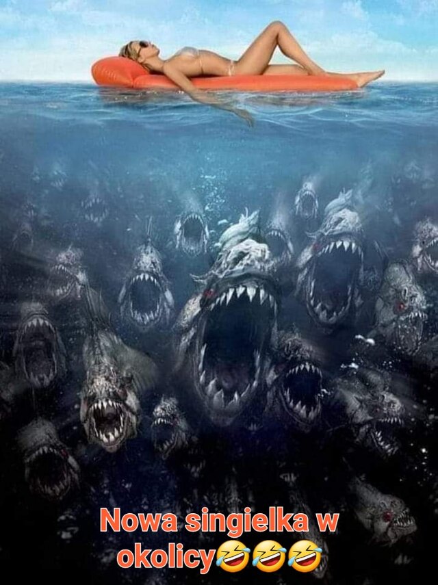 Tygrysekxxl