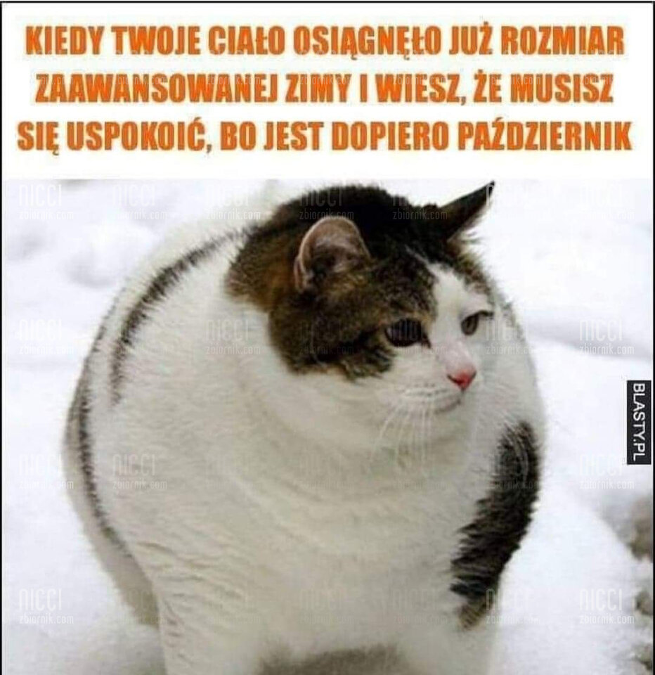 94902737664485.jpeg - Nicci