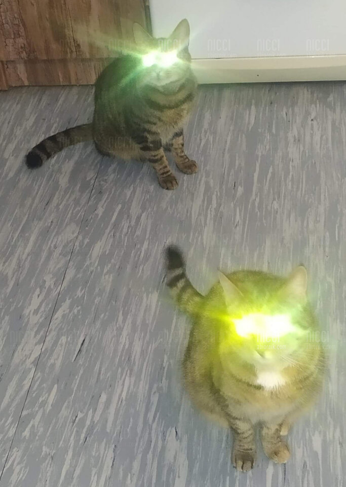 IMG_20210213_234328.jpg - Nicci