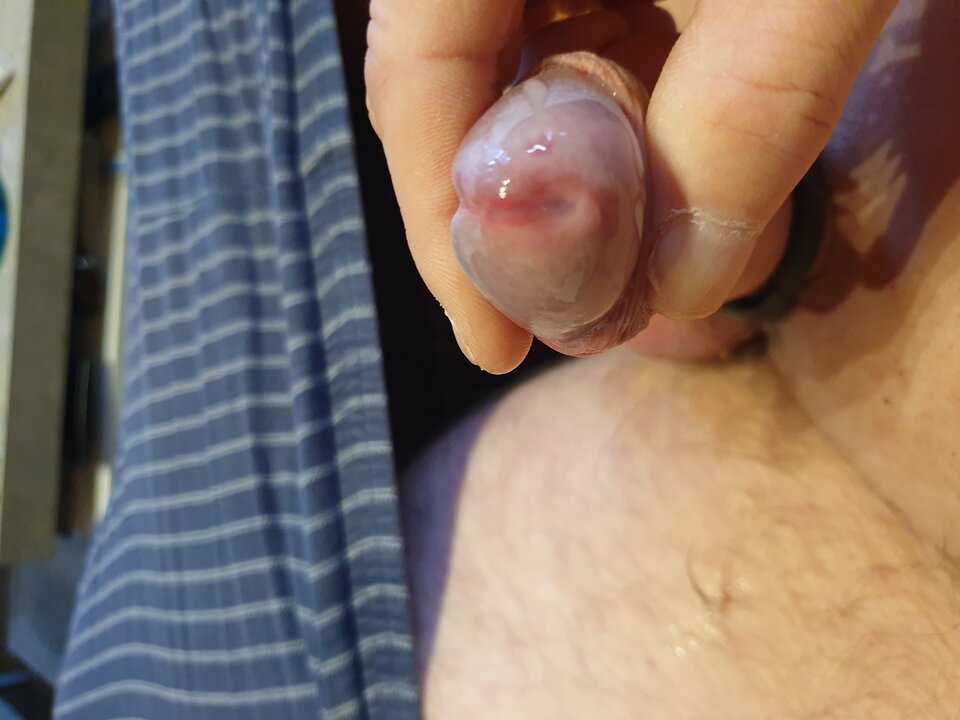 20221116_095428.jpg - Myrazembi