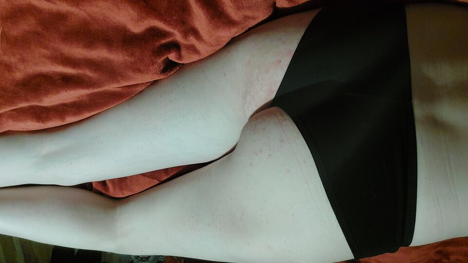 20221116_053027.jpg - k1i9n8g8a