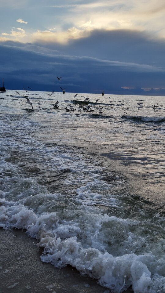 20210801_200049.jpg - GiA196