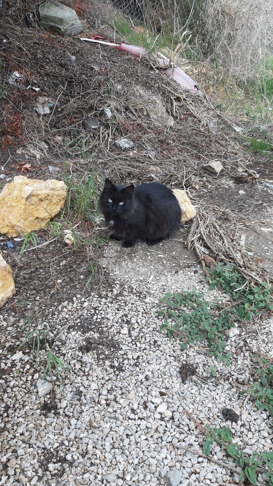 20220924_143134.jpg - GiA196