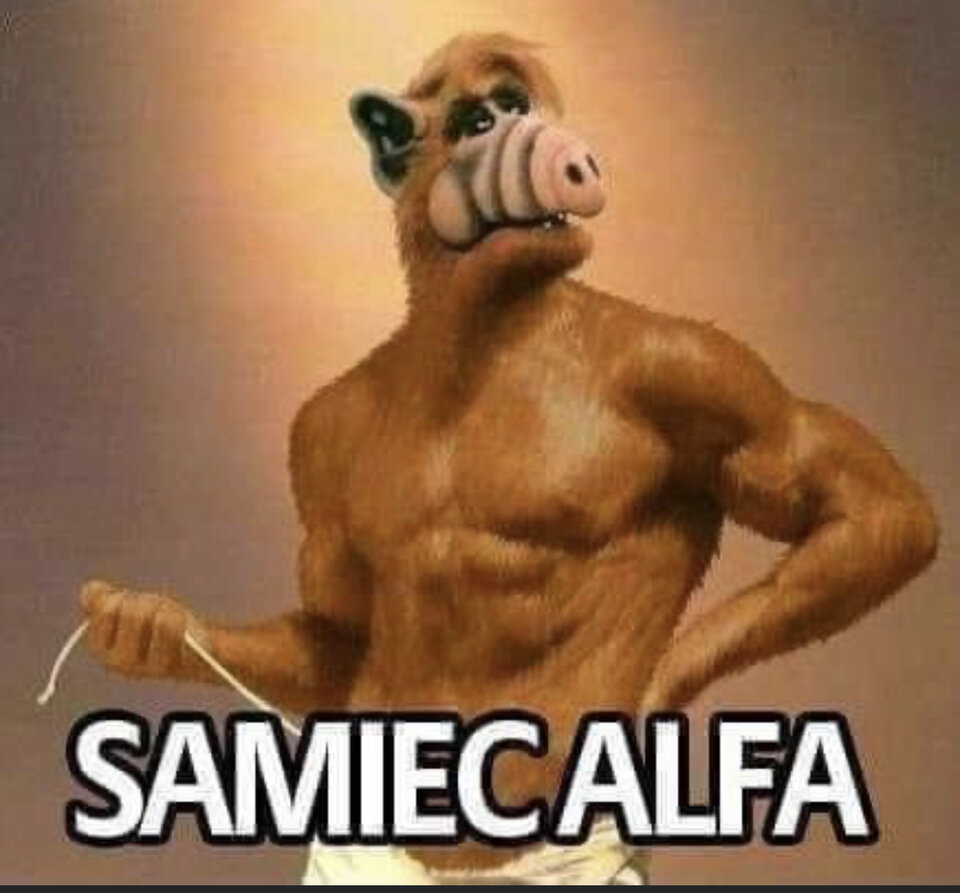 156964FF-8121-4F07-BB47-48015B982D5F.jpeg - moby_dick