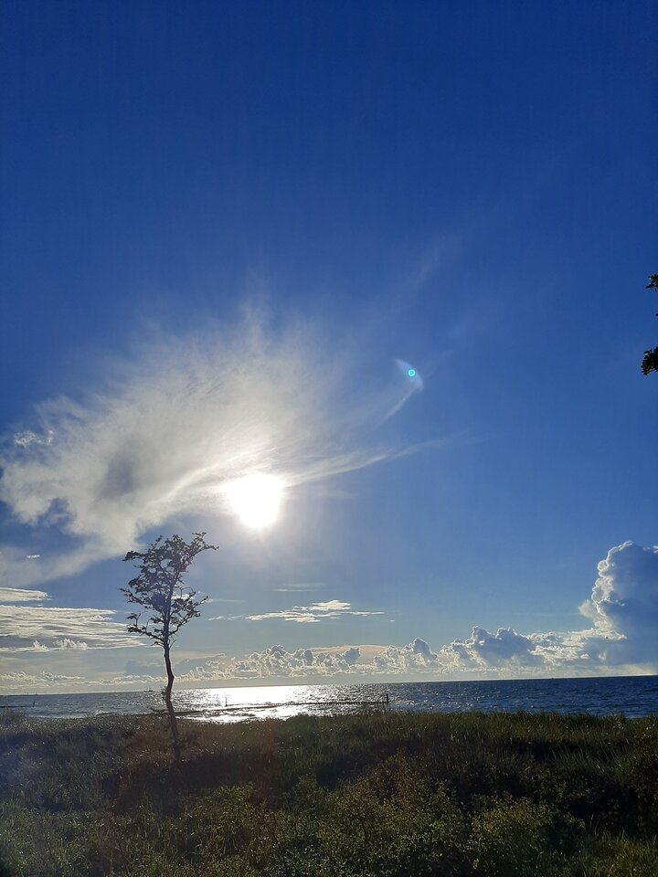 20220919_171626.jpg - XTOMx