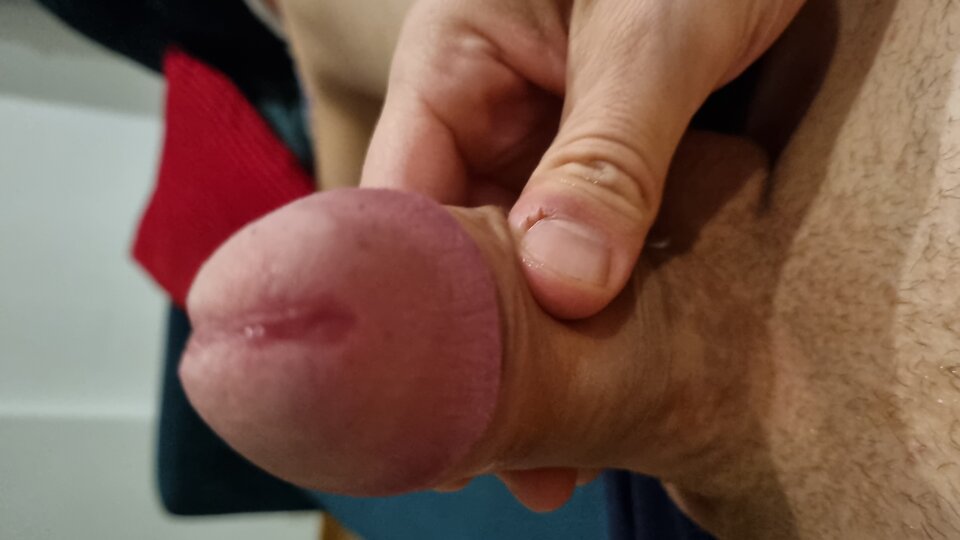 16686292822837677557698841588649.jpg - Fajntnick