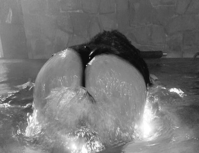 20210825_230849.jpg - Possess91