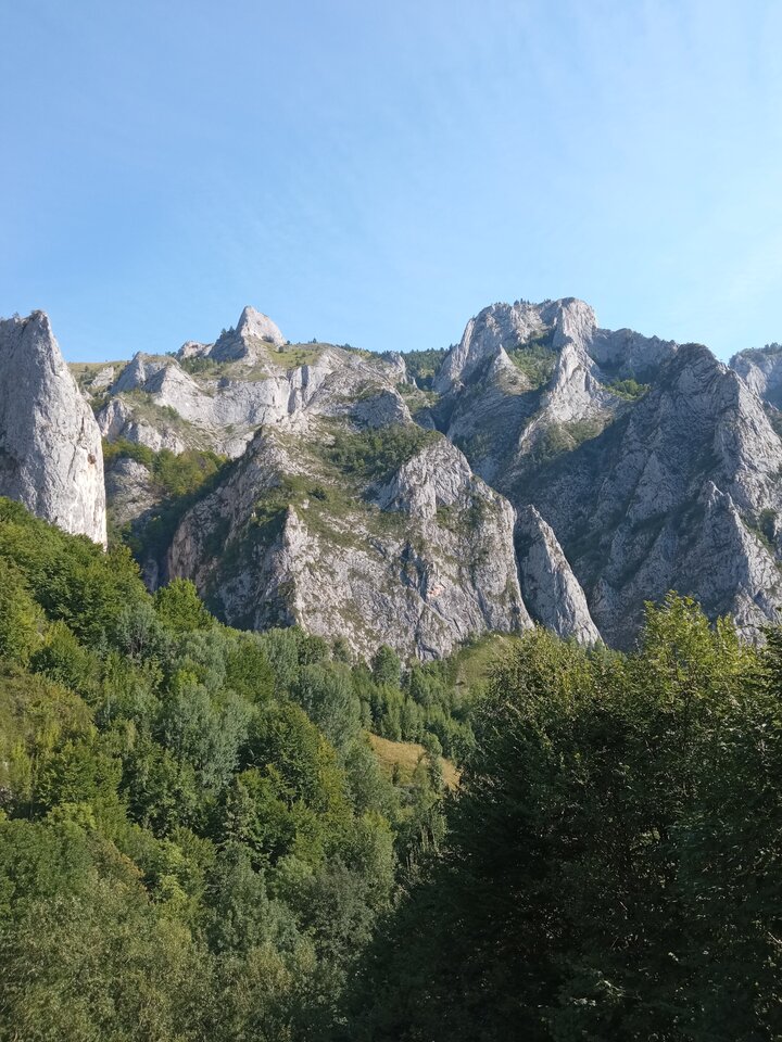 IMG_20210813_165408.jpg - 83grzesiek