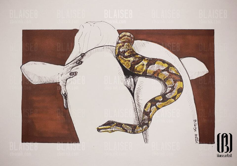 Art. No. 194 - blaise8