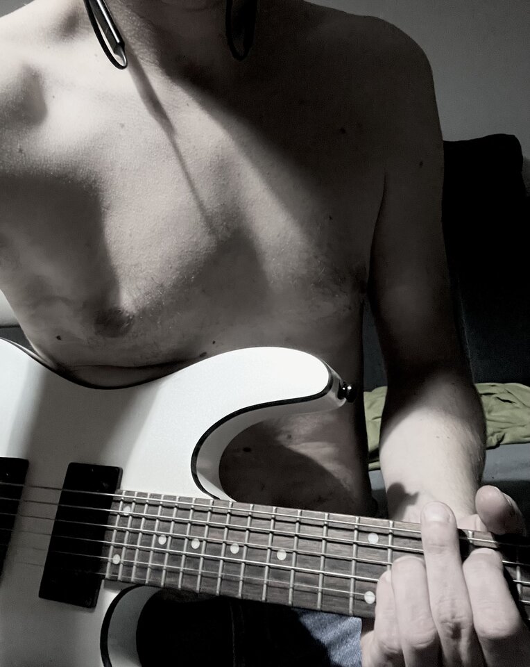 Guitar.jpeg - Stray_dog