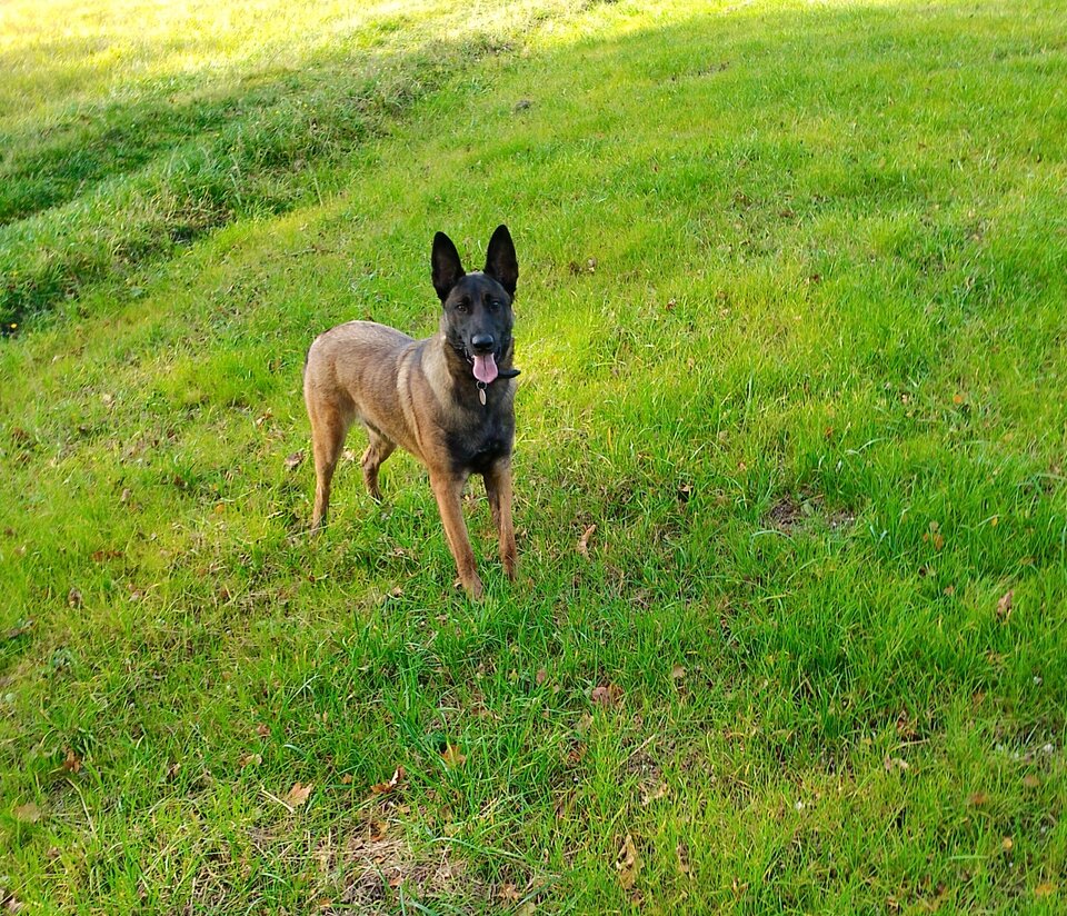 IMG_20221016_105221.jpg - Kalim865