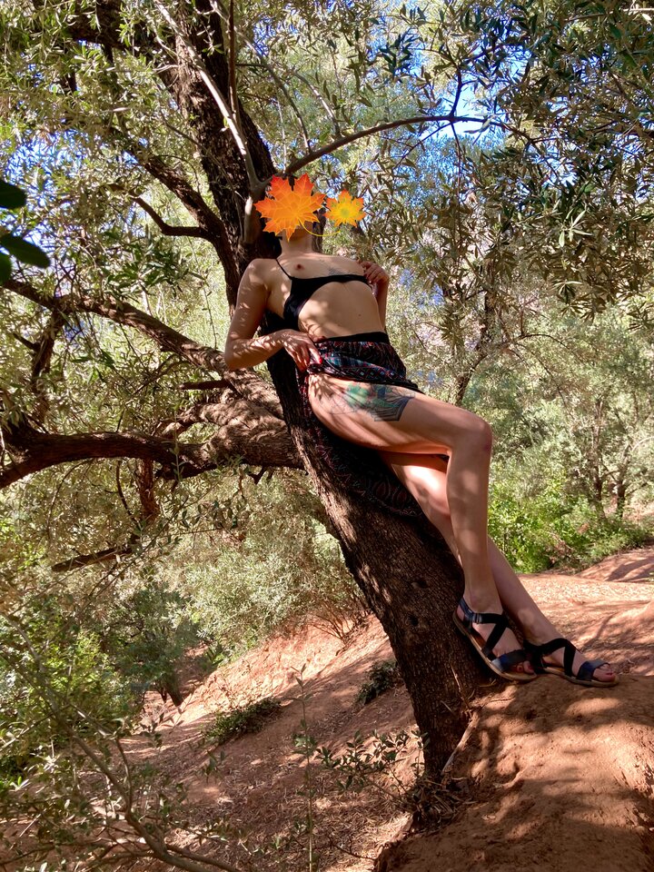 Afryka.jpeg - Parrots