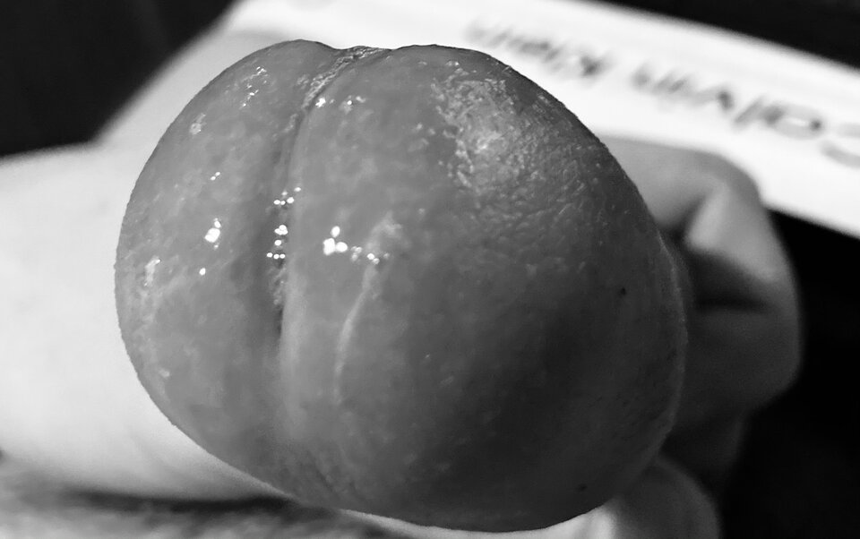 43399CA0-DA85-4DC4-B430-48E64B9C6747.jpeg - DolnySlask27