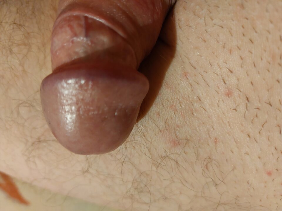 20221118_200040.jpg - Kameleon960