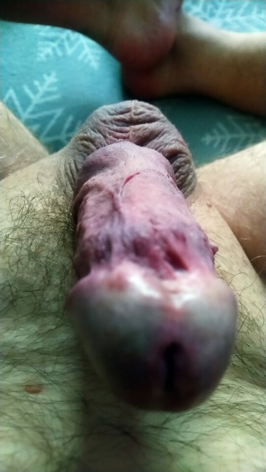 IMG-20221118-WA0002.jpg - lizalek73