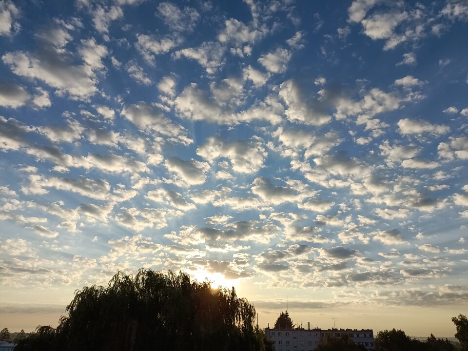 IMG20220804055513.jpg - 666smoke666