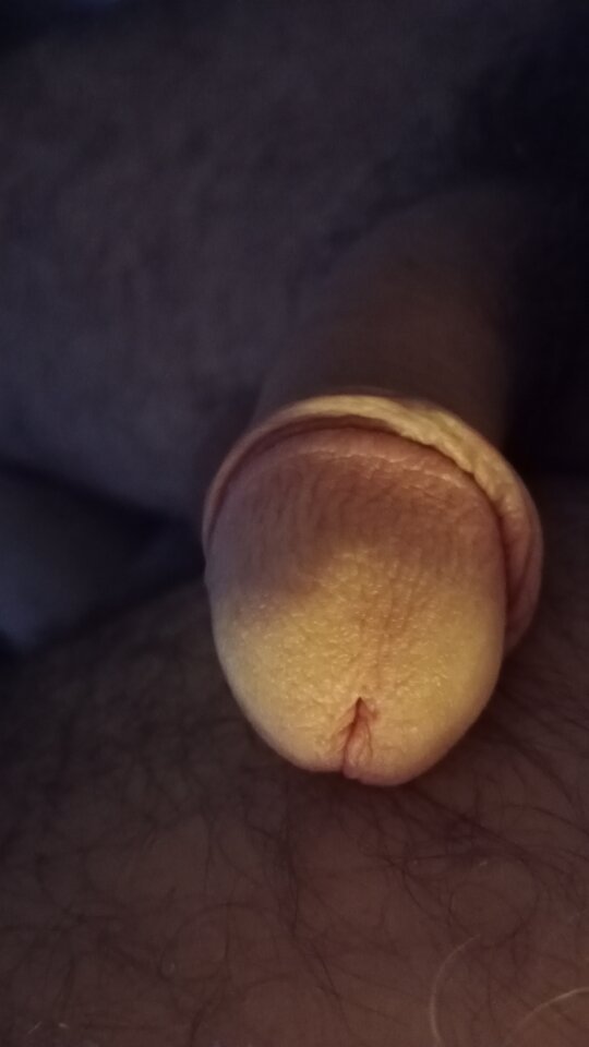 16688729000091359619795034056912.jpg - eroteooo