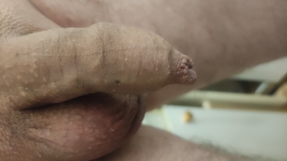 IMG_20221119_221218.jpg - Kriss7788