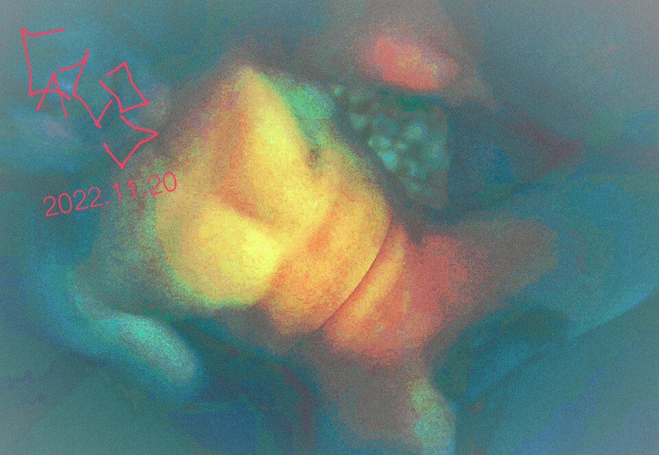 IMG_20221120_074518.jpg - ExoticBASTARD