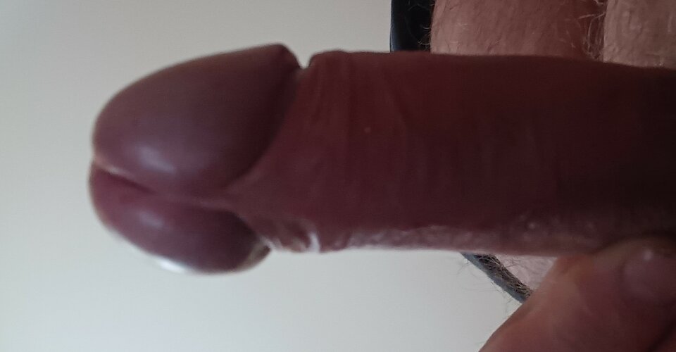 IMG20221120092944~2.jpg - ardas1