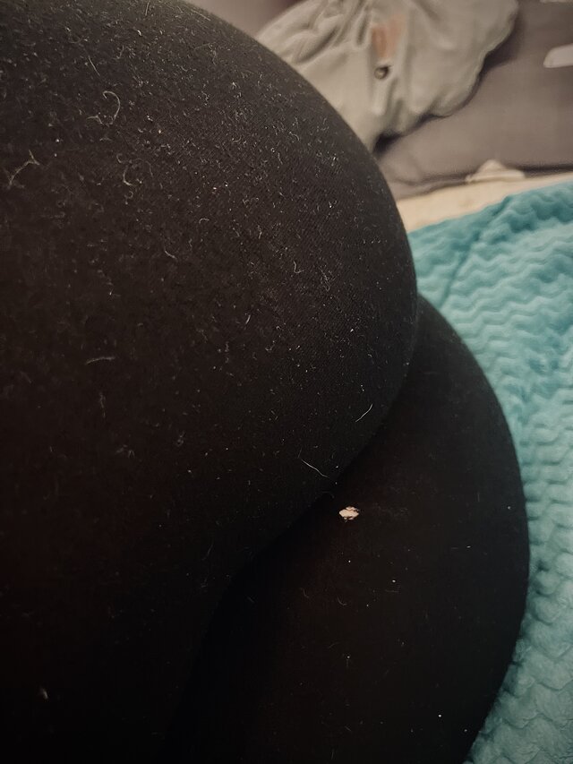 followtwowhiterabbits