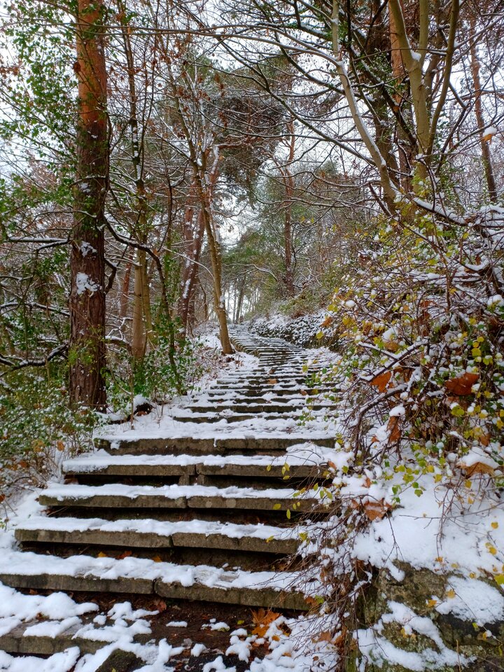 20221120_123223.jpg - Skorpion750