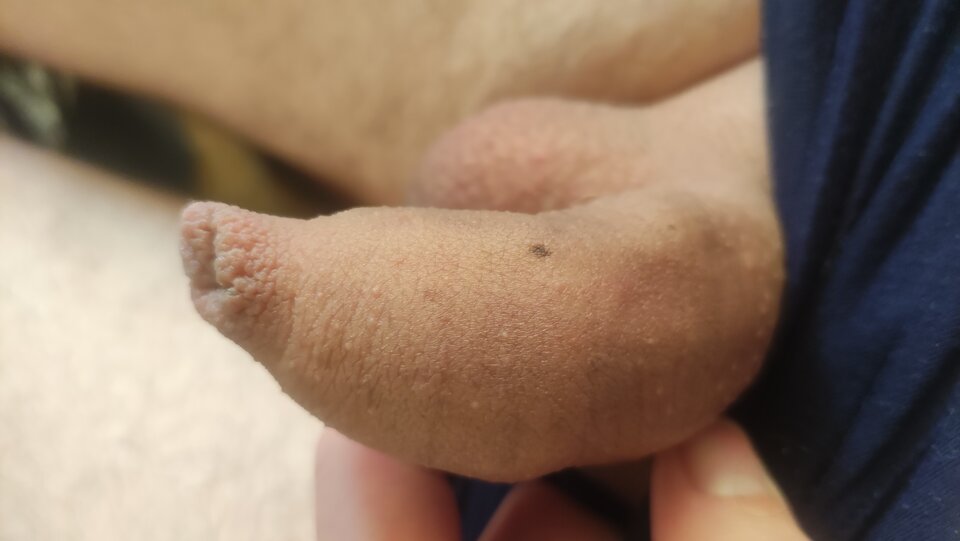 IMG_20221120_141141.jpg - Kriss7788